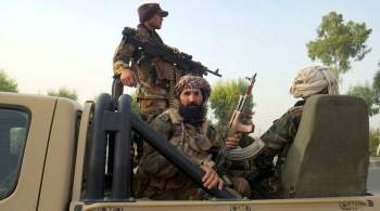 США решили убедить талибов отказаться от наступления в Афганистане