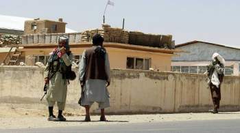 СМИ: талибы заявили, что переходного правительства в Афганистане не будет