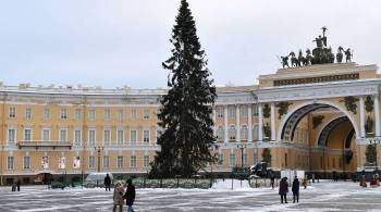 В Петербурге после снегопадов запустили  Дворник-шеринг 