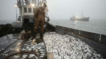В Баренцевом море задержали судно с 15 тоннами нелегально выловленной рыбы 