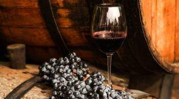 Организация виноделов защитит интересы коллег, заявил глава  Массандры 