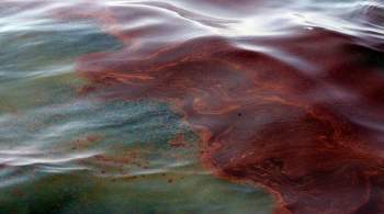 В море у Новороссийска не нашли следов разлива нефти
