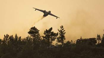 В Турции продолжают бороться с пятью лесными пожарами