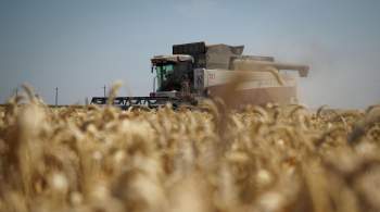 Российские аграрии ожидают рекордного урожая, заявил глава Минсельхоза РФ