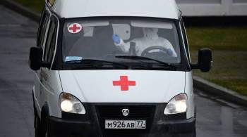 Число пострадавших в ДТП в Нижегородской области достигло 11