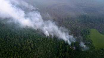 МЧС сообщило о снижении площади природных пожаров