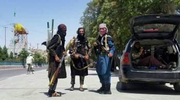 Талибы контролируют все районы Кабула, пишут СМИ
