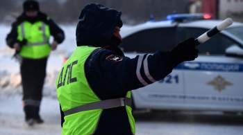 В Ленинградской области задержали водителя со 174 килограммами гашиша