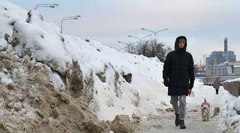 Петербург признали аутсайдером в рейтинге уборки снега в городах