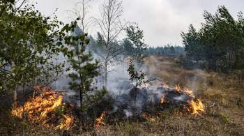 В рязанском поселке Голованово объявили эвакуацию из-за близости пожара