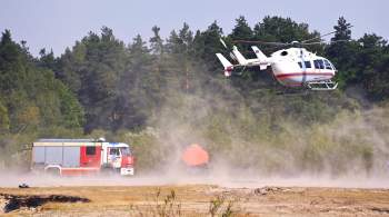 Пожар в Рязанской области продолжает распространяться по лесной подстилке