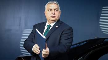 Депутат Рады оскорбил Орбана 
