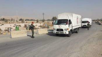 Россия отправила в Сирию 1775 тонн гуманитарной помощи в 2021 году