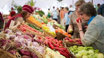 В Воронежской области заявили о необходимости регулирования цен на овощи