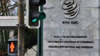 Сенатор предложил проанализировать, насколько России выгодно участие в ВТО