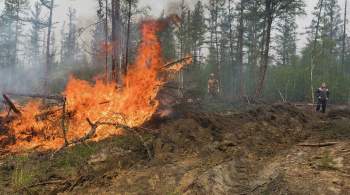 В Якутии с начала сезона зарегистрировали более тысячи лесных пожаров  