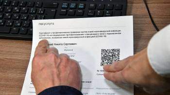 Комитет Госдумы отправит Голиковой поправки в проект о QR-кодах