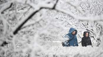 Москвичей предупредили о мощном снегопаде 