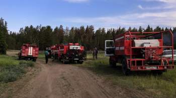В России потушили 60 природных пожаров за сутки