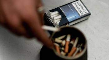 Контрафактные сигареты на 100 миллионов рублей обнаружили в Подмосковье