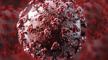 Ученые сравнили заразность индийского и британского штаммов коронавируса