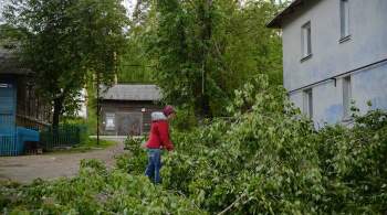 В результата урагана в Екатеринбурге пострадали два человека