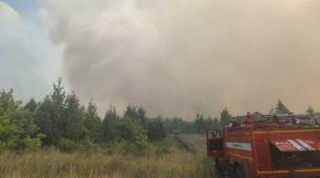 Названа возможная причина крупного природного пожара в Тольятти