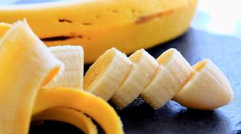 Ученые-агрономы рассказали об условиях выращивания бананов в России 
