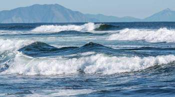 Ученые рассказали об экстремальных  волнах жары  в Мировом океане