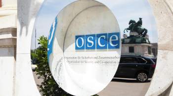 Украина не будет участвовать в сессии ПА ОБСЕ, заявили в Раде