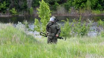 Российские саперы обезвредили в ДНР и ЛНР 11 тысяч взрывоопасных предметов
