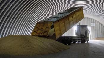 Румыния ввела временный запрет на импорт зерна с Украины