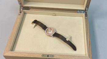 В Домодедово у пассажирки нашли незадекларированные часы с бриллиантами 