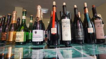 Володин рассказал о письмах европейских послов из-за закона о виноделии