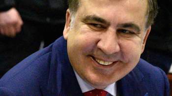  Границу не пересекал . В МВД Грузии опровергли возвращение Саакашвили