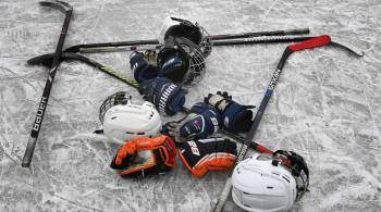 В США хоккеист школьной команды скончался от полученных во время игры травм