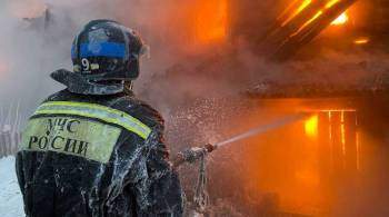При пожаре в Архангельской области погибли пять человек