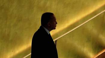 В Раде обвинили Эрдогана в неуважении к Украине