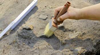 В Красноярске археологи нашли бивень мамонта
