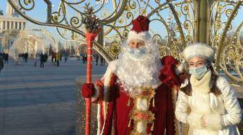 Милонов призвал выпустить рекомендации по посещению семей Дедом Морозом