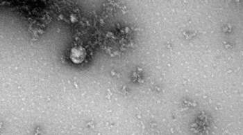 Эксперт предупредил об опасности изменений в геноме коронавируса