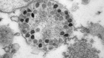 Глава ВОЗ оценил риск появления новых штаммов коронавируса