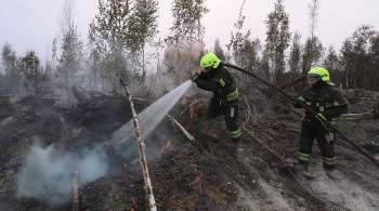Природные пожары могут угрожать 14 регионам России