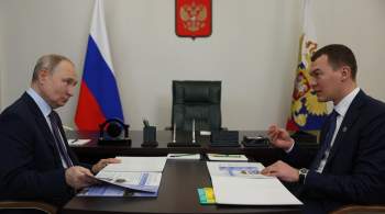 Дегтярев отчитался перед Путиным о мерах поддержки семей в Хабаровском крае 
