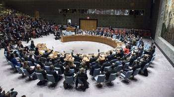 Россия применила в СБ ООН вето к резолюции о связи климата и конфликтов