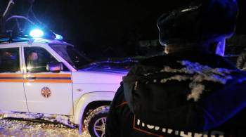 Упавший в Елизовском районе Ан-2 принадлежал ООО  Камчатский кречет 