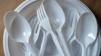 Госдума одобрила проект о запрете продажи пластиковой посуды на Байкале