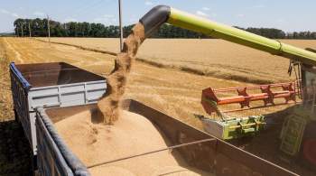 Правительство РФ перешло на рублевый расчет экспортных пошлин на зерно