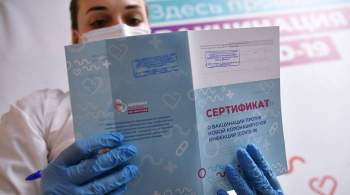 Россия представила в ЕС документацию для сверки систем COVID-сертификатов