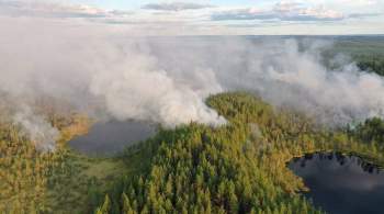 Двенадцать лесных пожаров локализовали в Карелии